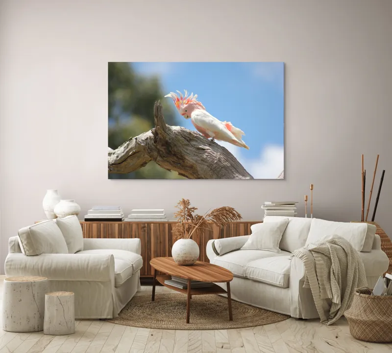 Tablou Canvas, "Cacadu pe creanga sub cer senin", Pene, Creasta, Papagal, Ramură, Cer, Natură, Culoare, 150 x 100 cm – poza 3