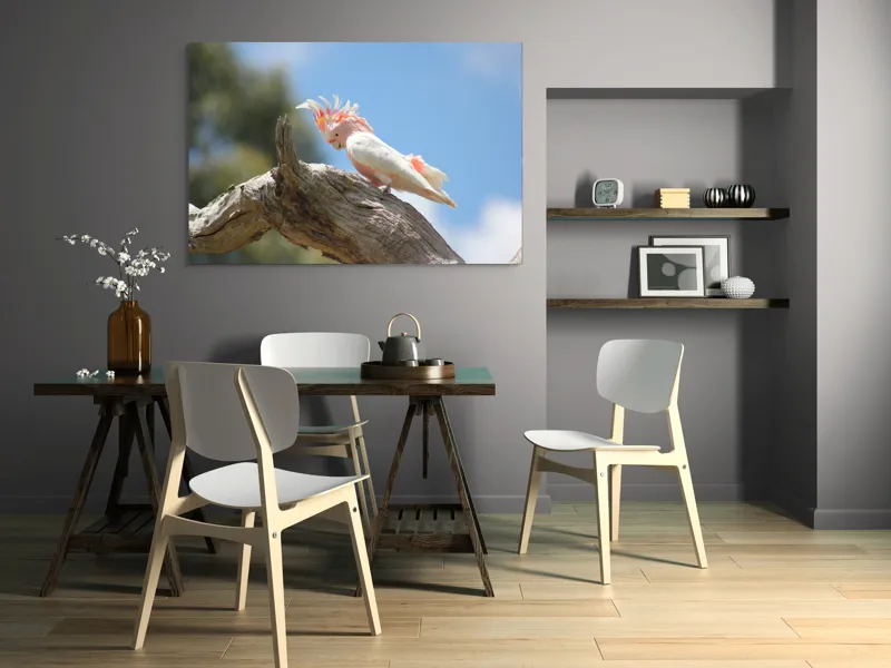 Tablou Canvas, "Cacadu pe creanga sub cer senin", Pene, Creasta, Papagal, Ramură, Cer, Natură, Culoare, 150 x 100 cm – poza 5