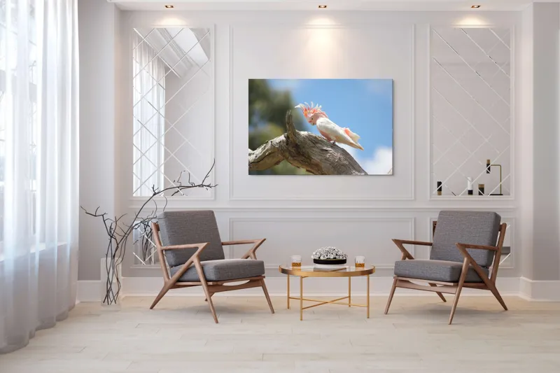 Tablou Canvas, "Cacadu pe creanga sub cer senin", Pene, Creasta, Papagal, Ramură, Cer, Natură, Culoare, 150 x 100 cm – poza 7