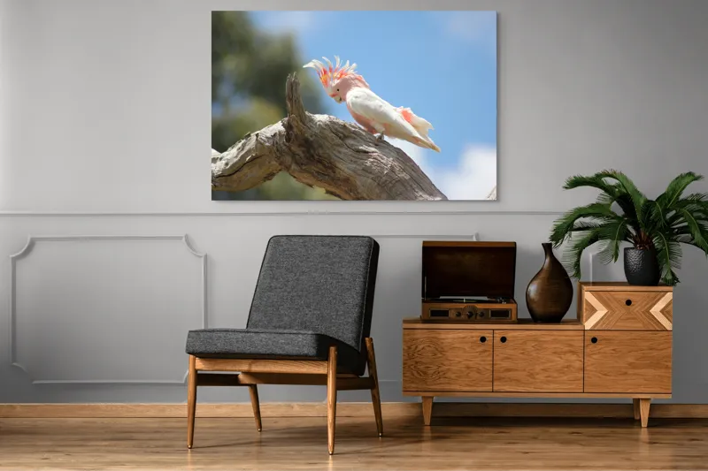 Tablou Canvas, "Cacadu pe creanga sub cer senin", Pene, Creasta, Papagal, Ramură, Cer, Natură, Culoare, 150 x 100 cm – poza 8