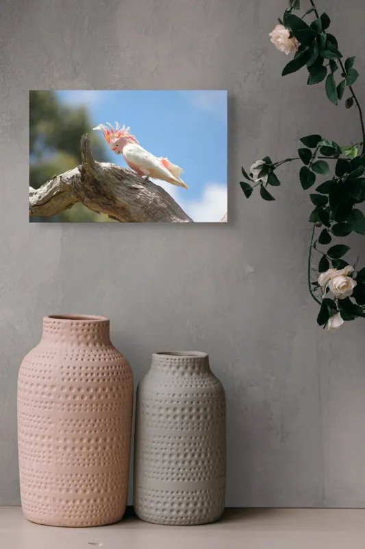 Tablou Canvas, "Cacadu pe creanga sub cer senin", Pene, Creasta, Papagal, Ramură, Cer, Natură, Culoare, 39 x 26 cm – poza 4