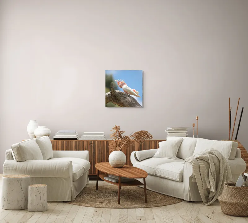 Tablou Canvas, "Cacadu pe creanga sub cer senin", Pene, Creasta, Papagal, Ramură, Cer, Natură, Culoare, 50 x 50 cm – poza 7