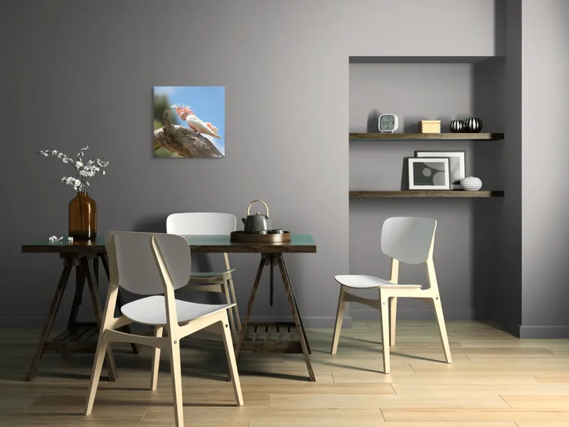 Tablou Canvas, "Cacadu pe creanga sub cer senin", Pene, Creasta, Papagal, Ramură, Cer, Natură, Culoare, 50 x 50 cm – poza 8