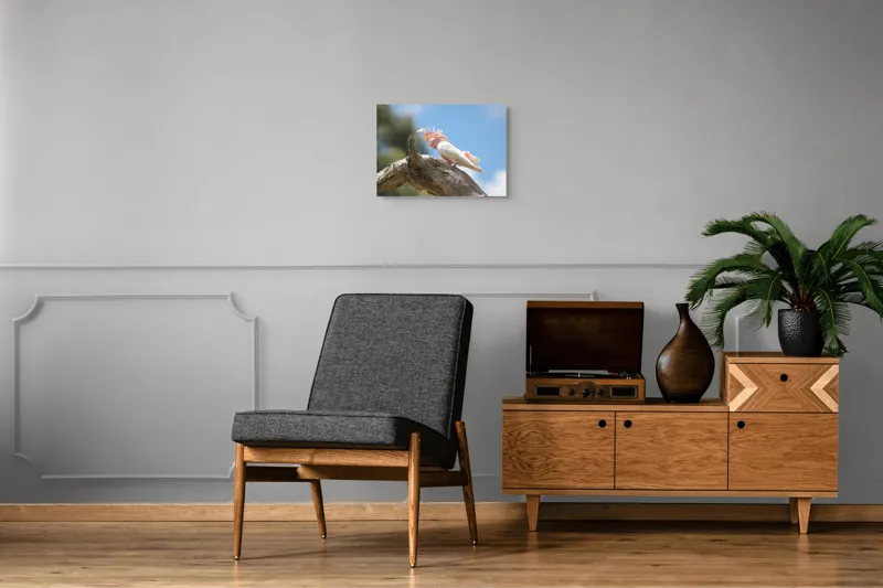 Tablou Canvas, "Cacadu pe creanga sub cer senin", Pene, Creasta, Papagal, Ramură, Cer, Natură, Culoare, 54 x 39 cm – poza 7