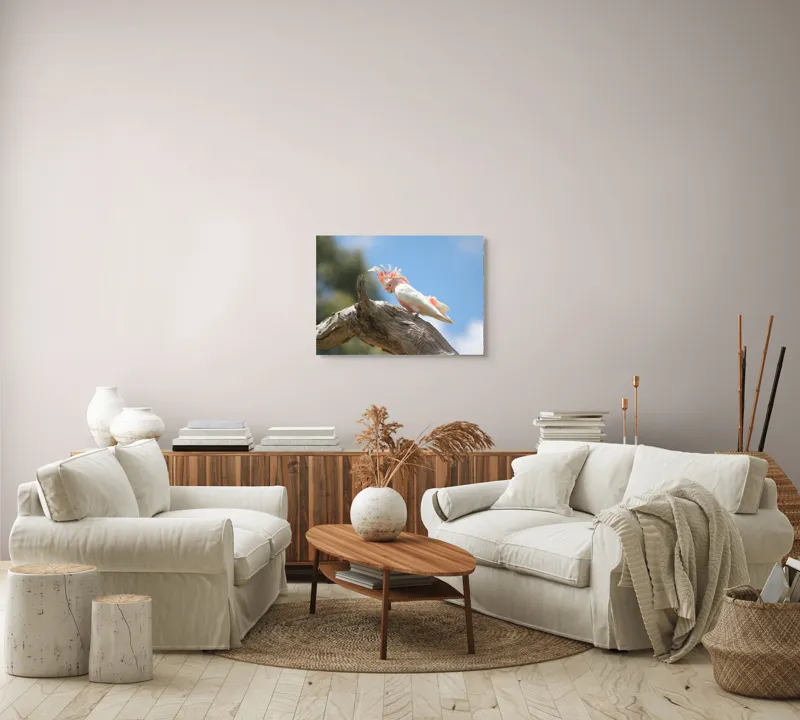 Tablou Canvas, "Cacadu pe creanga sub cer senin", Pene, Creasta, Papagal, Ramură, Cer, Natură, Culoare, 70 x 50 cm – poza 6