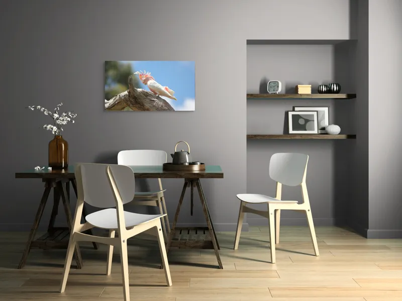 Tablou Canvas, "Cacadu pe creanga sub cer senin", Pene, Creasta, Papagal, Ramură, Cer, Natură, Culoare, 90 x 50 cm – poza 3