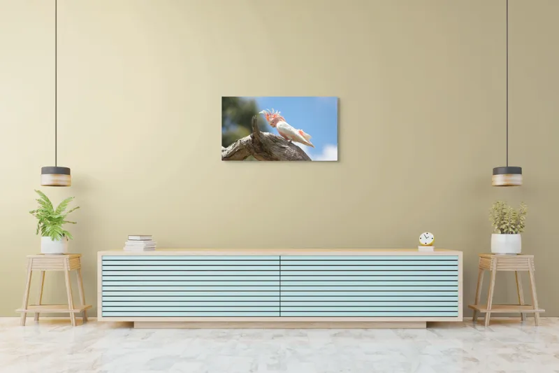 Tablou Canvas, "Cacadu pe creanga sub cer senin", Pene, Creasta, Papagal, Ramură, Cer, Natură, Culoare, 90 x 50 cm – poza 5