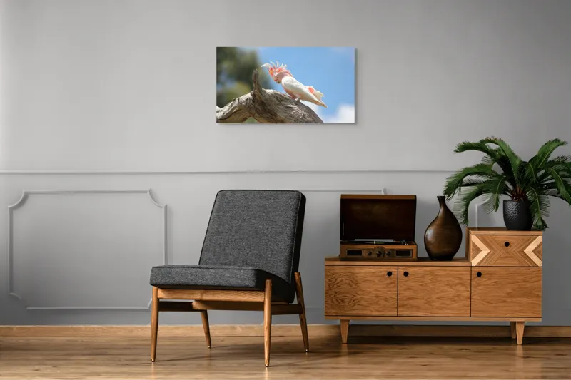Tablou Canvas, "Cacadu pe creanga sub cer senin", Pene, Creasta, Papagal, Ramură, Cer, Natură, Culoare, 90 x 50 cm – poza 6