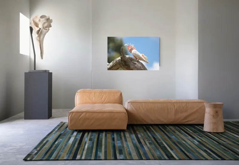 Tablou Canvas, "Cacadu pe creanga sub cer senin", Pene, Creasta, Papagal, Ramură, Cer, Natură, Culoare, 90 x 50 cm – poza 8