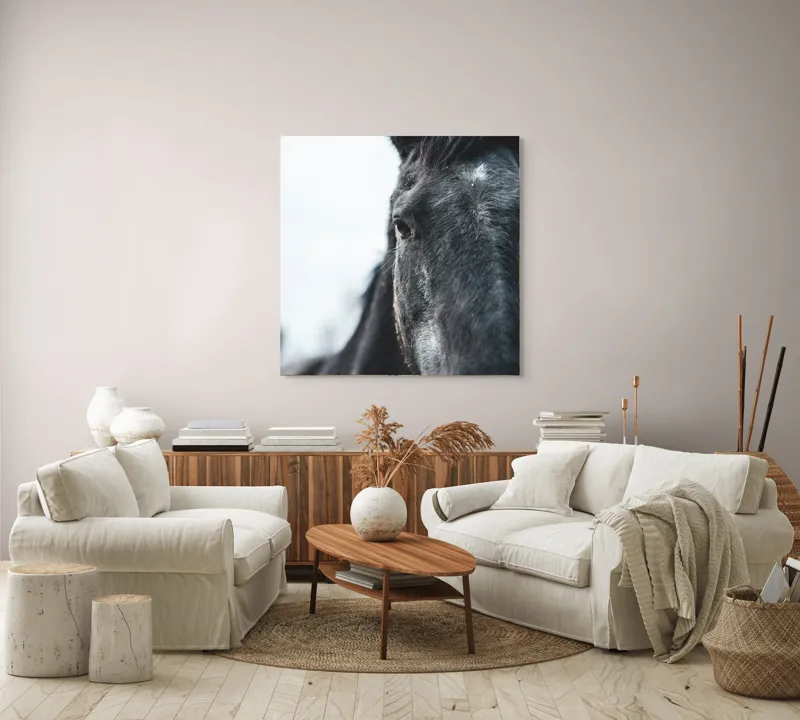 Tablou Canvas, "Calul priveste spre orizont alb.", Nu știu cine este în imagine., 100 x 100 cm – poza 3
