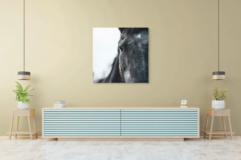 Tablou Canvas, "Calul priveste spre orizont alb.", Nu știu cine este în imagine., 100 x 100 cm – poza 5