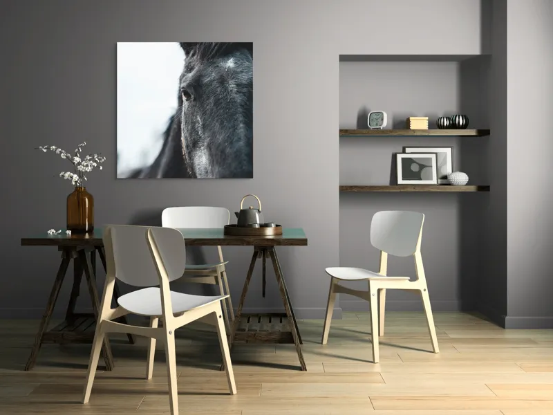 Tablou Canvas, "Calul priveste spre orizont alb.", Nu știu cine este în imagine., 100 x 100 cm – poza 6