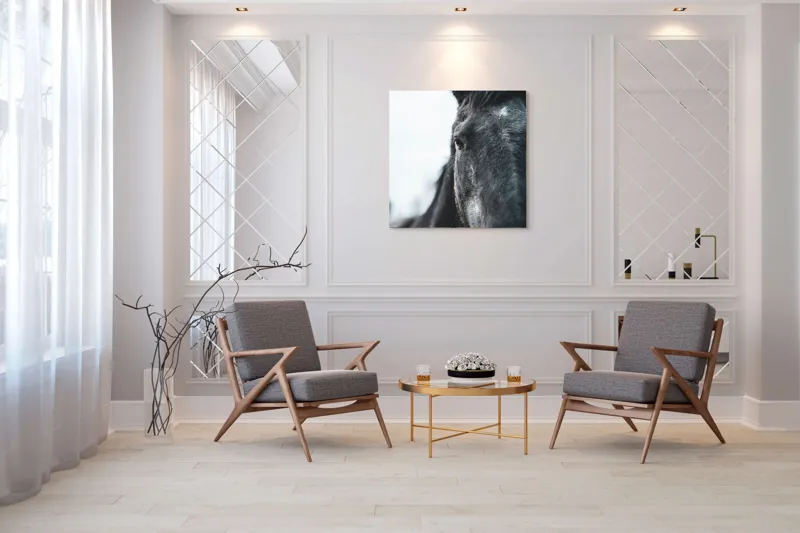 Tablou Canvas, "Calul priveste spre orizont alb.", Nu știu cine este în imagine., 100 x 100 cm – poza 7