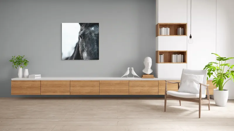 Tablou Canvas, "Calul priveste spre orizont alb.", Nu știu cine este în imagine., 100 x 100 cm – poza 8