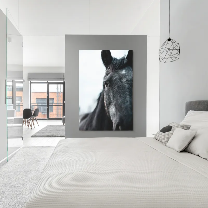 Tablou Canvas, "Calul priveste spre orizont alb.", Nu știu cine este în imagine., 100 x 150 cm – poza 5