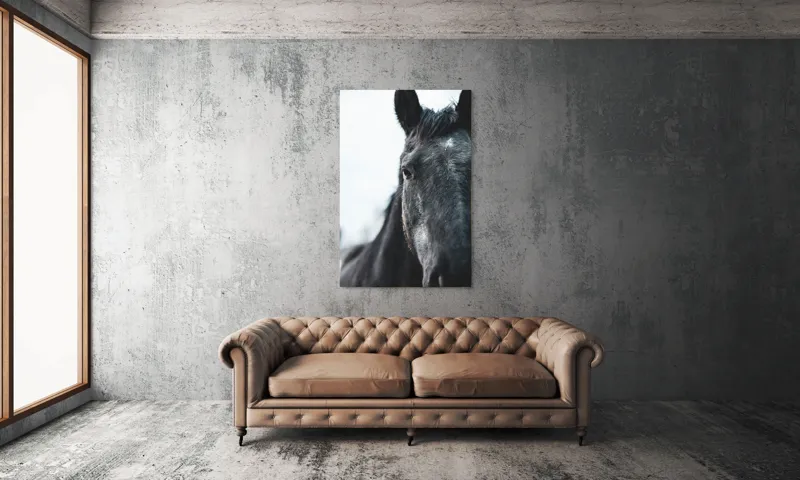 Tablou Canvas, "Calul priveste spre orizont alb.", Nu știu cine este în imagine., 100 x 150 cm – poza 6