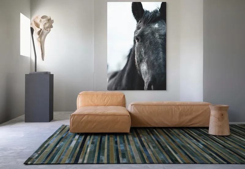 Tablou Canvas, "Calul priveste spre orizont alb.", Nu știu cine este în imagine., 100 x 150 cm – poza 7