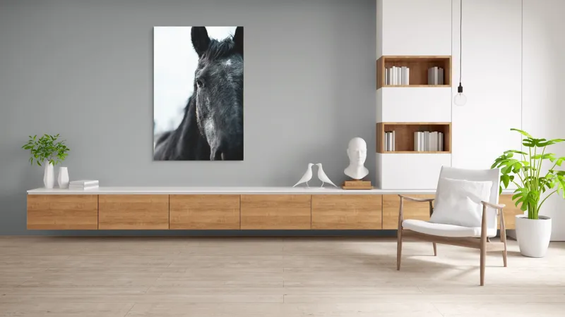 Tablou Canvas, "Calul priveste spre orizont alb.", Nu știu cine este în imagine., 100 x 150 cm – poza 8