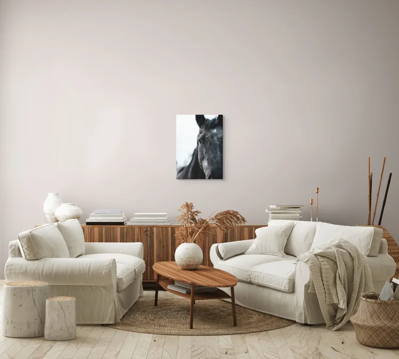 Tablou Canvas, "Calul priveste spre orizont alb.", Nu știu cine este în imagine., 39 x 54 cm – poza 5