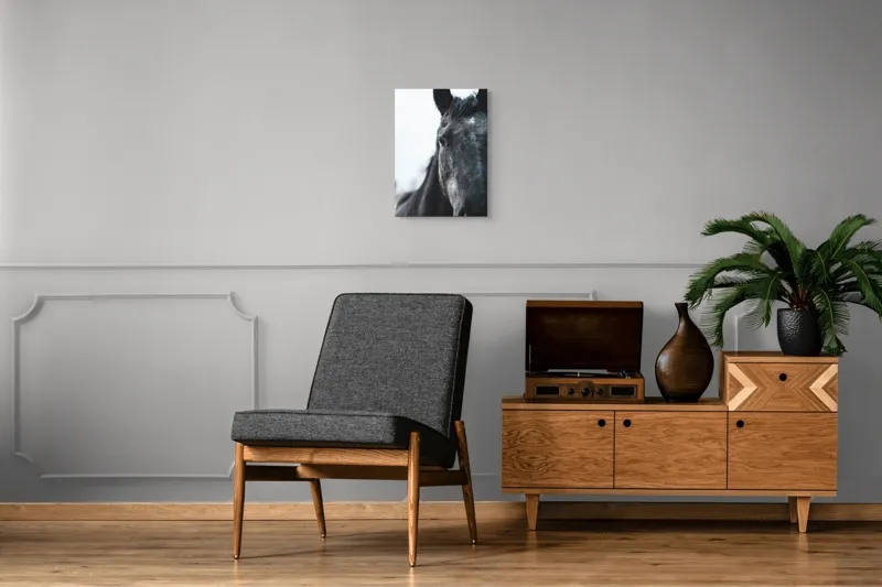 Tablou Canvas, "Calul priveste spre orizont alb.", Nu știu cine este în imagine., 39 x 54 cm – poza 8