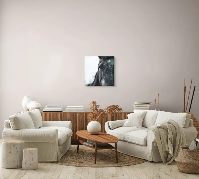 Tablou Canvas, "Calul priveste spre orizont alb.", Nu știu cine este în imagine., 50 x 50 cm – poza 7