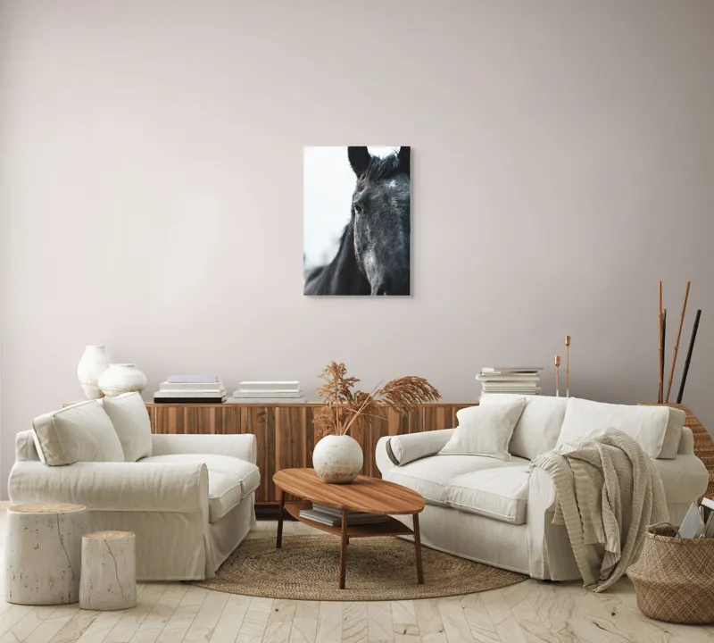 Tablou Canvas, "Calul priveste spre orizont alb.", Nu știu cine este în imagine., 50 x 70 cm – poza 4