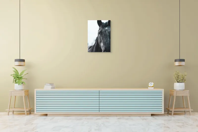 Tablou Canvas, "Calul priveste spre orizont alb.", Nu știu cine este în imagine., 50 x 70 cm – poza 6