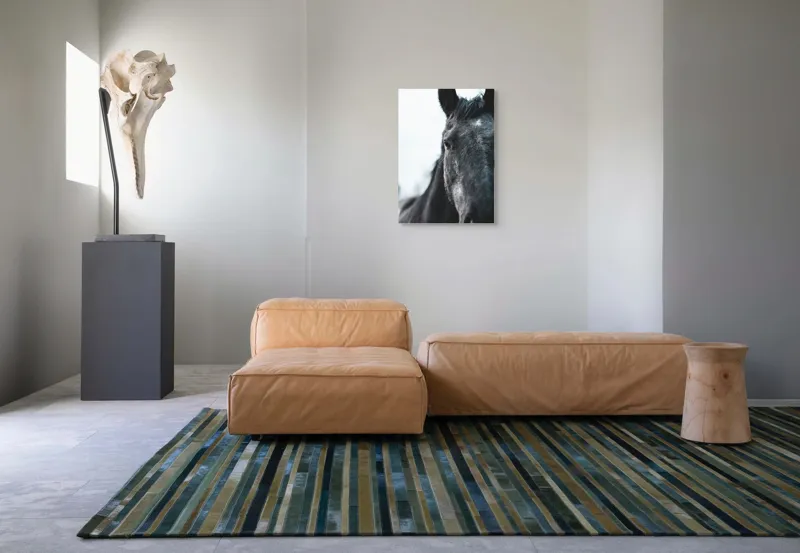Tablou Canvas, "Calul priveste spre orizont alb.", Nu știu cine este în imagine., 50 x 70 cm – poza 7