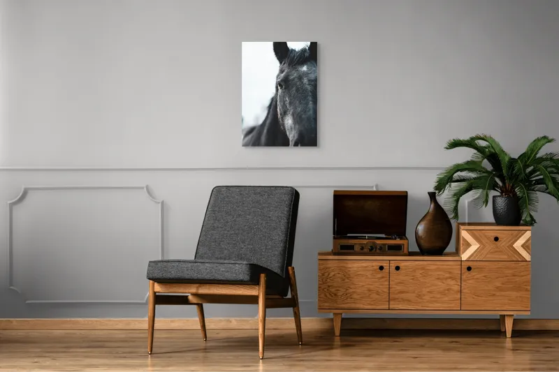 Tablou Canvas, "Calul priveste spre orizont alb.", Nu știu cine este în imagine., 50 x 70 cm – poza 8