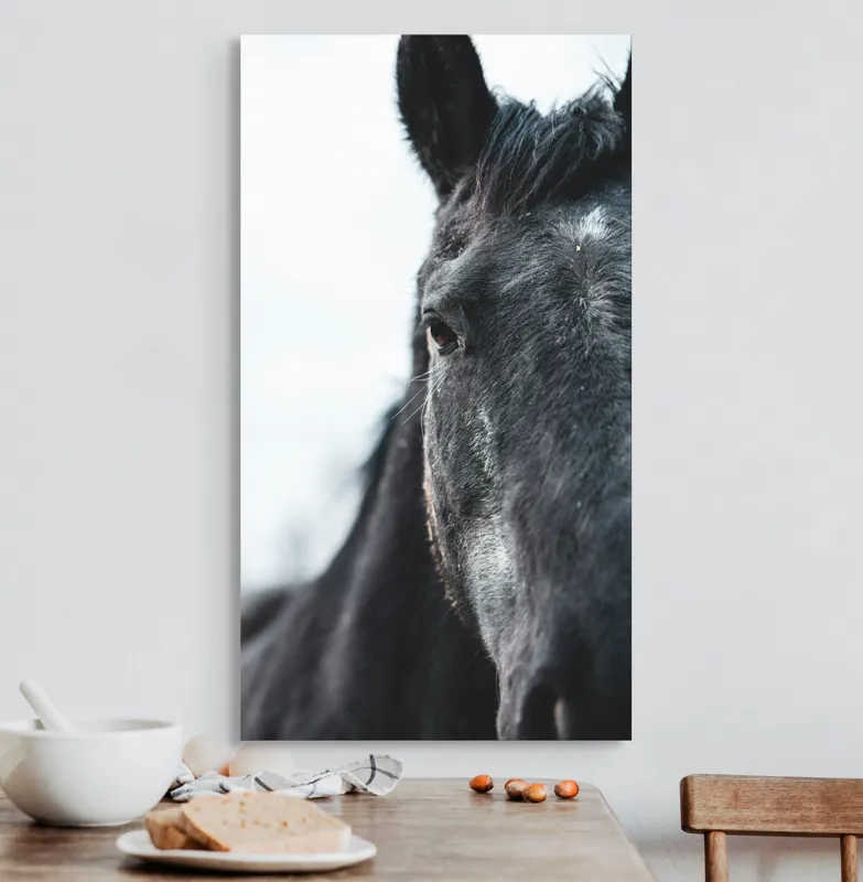 Tablou Canvas, "Calul priveste spre orizont alb.", Nu știu cine este în imagine., 50 x 90 cm – poza 3
