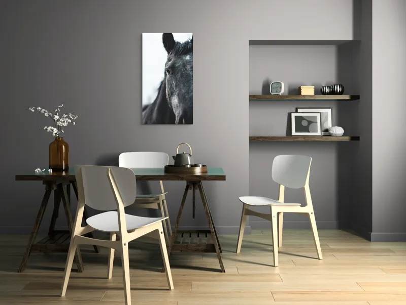 Tablou Canvas, "Calul priveste spre orizont alb.", Nu știu cine este în imagine., 50 x 90 cm – poza 4