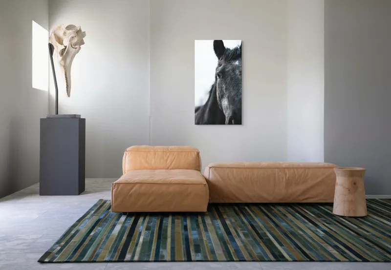 Tablou Canvas, "Calul priveste spre orizont alb.", Nu știu cine este în imagine., 50 x 90 cm – poza 5