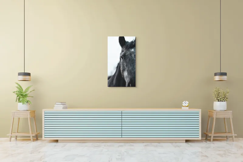 Tablou Canvas, "Calul priveste spre orizont alb.", Nu știu cine este în imagine., 50 x 90 cm – poza 6