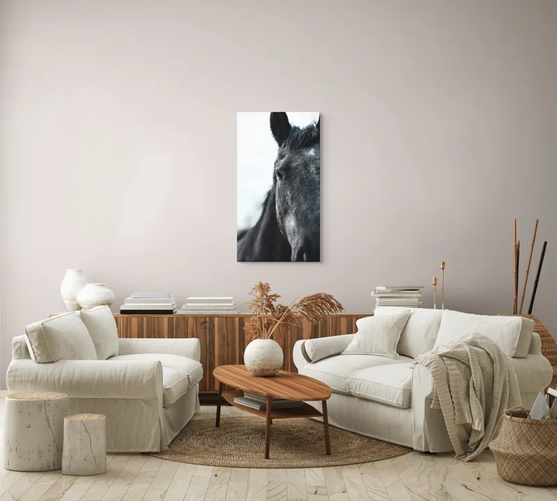 Tablou Canvas, "Calul priveste spre orizont alb.", Nu știu cine este în imagine., 50 x 90 cm – poza 7