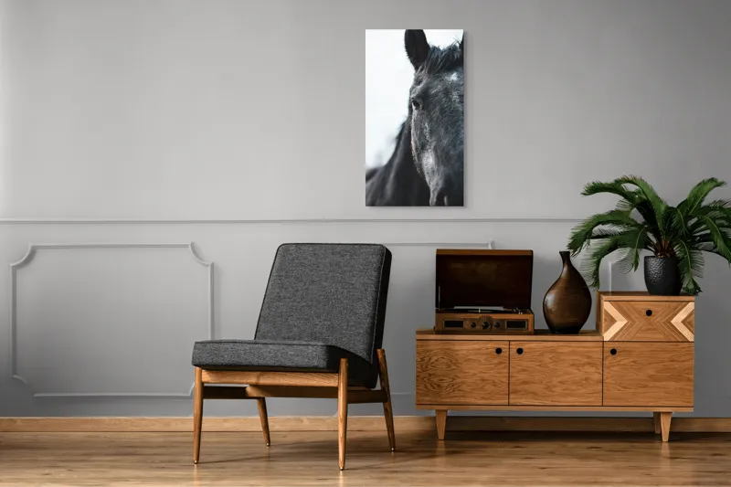 Tablou Canvas, "Calul priveste spre orizont alb.", Nu știu cine este în imagine., 50 x 90 cm – poza 8