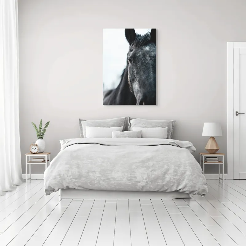Tablou Canvas, "Calul priveste spre orizont alb.", Nu știu cine este în imagine., 70 x 100 cm – poza 3
