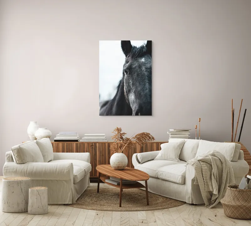 Tablou Canvas, "Calul priveste spre orizont alb.", Nu știu cine este în imagine., 70 x 100 cm – poza 4