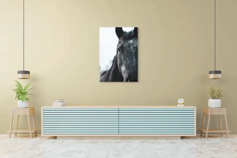 Tablou Canvas, "Calul priveste spre orizont alb.", Nu știu cine este în imagine., 70 x 100 cm – poza 5
