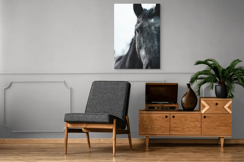 Tablou Canvas, "Calul priveste spre orizont alb.", Nu știu cine este în imagine., 70 x 100 cm – poza 6