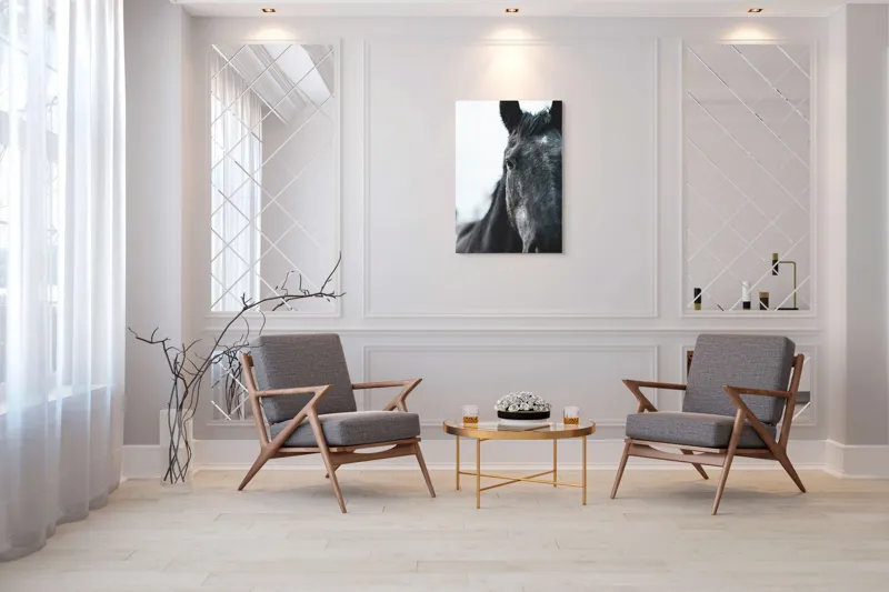 Tablou Canvas, "Calul priveste spre orizont alb.", Nu știu cine este în imagine., 70 x 100 cm – poza 8