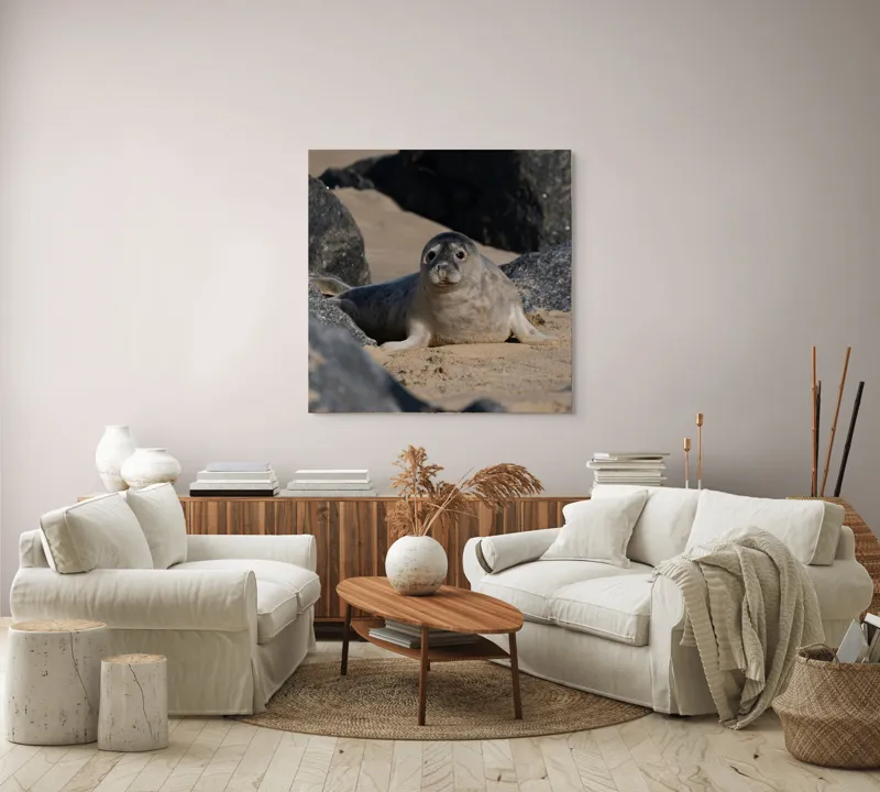 Tablou Canvas, "Foca odihnindu-se pe plajă liniștită", I don't know who this is., 100 x 100 cm – poza 3