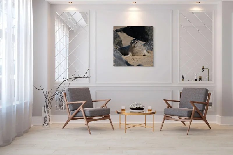 Tablou Canvas, "Foca odihnindu-se pe plajă liniștită", I don't know who this is., 100 x 100 cm – poza 7