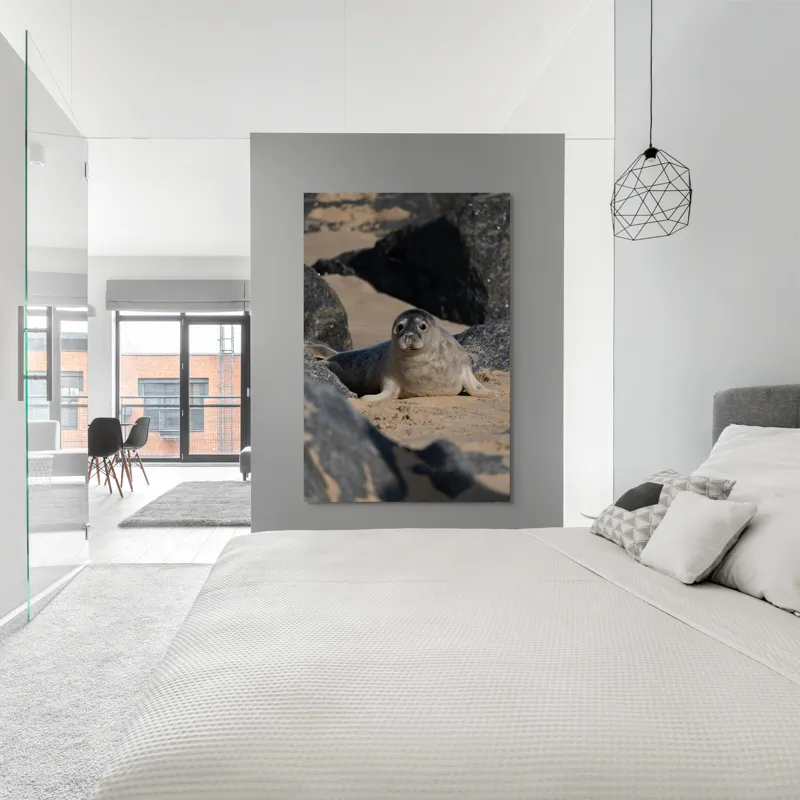 Tablou Canvas, "Foca odihnindu-se pe plajă liniștită", I don't know who this is., 100 x 150 cm – poza 5