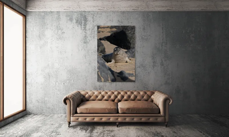 Tablou Canvas, "Foca odihnindu-se pe plajă liniștită", I don't know who this is., 100 x 150 cm – poza 6