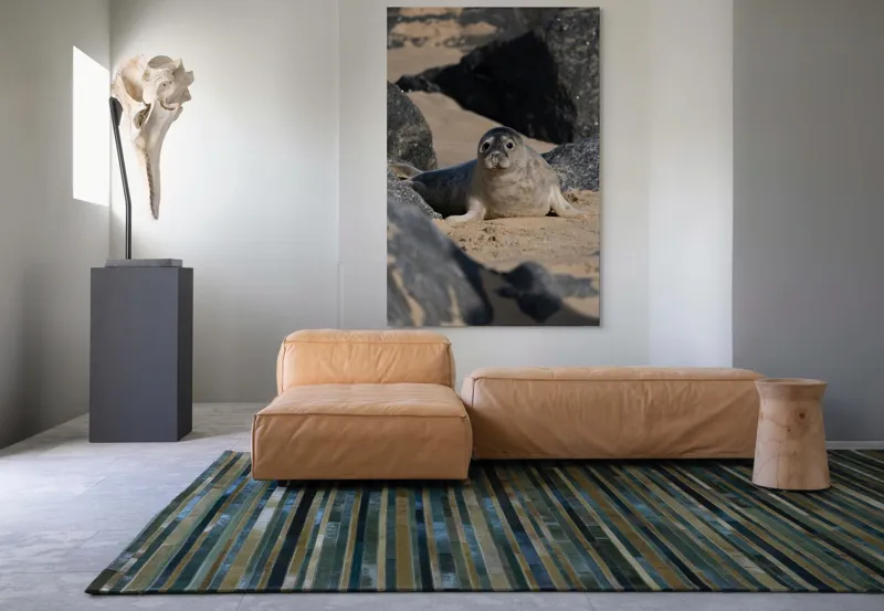Tablou Canvas, "Foca odihnindu-se pe plajă liniștită", I don't know who this is., 100 x 150 cm – poza 7