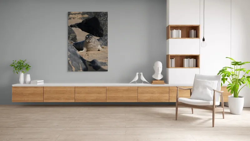Tablou Canvas, "Foca odihnindu-se pe plajă liniștită", I don't know who this is., 100 x 150 cm – poza 8