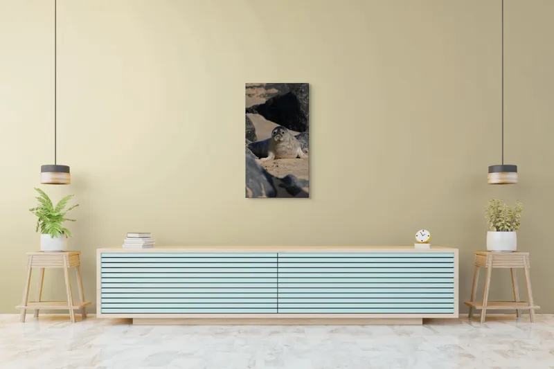 Tablou Canvas, "Foca odihnindu-se pe plajă liniștită", I don't know who this is., 50 x 90 cm – poza 6