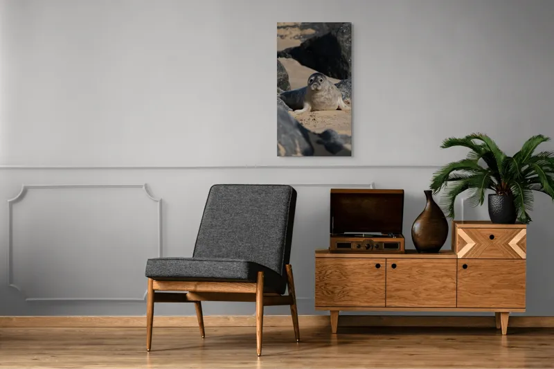 Tablou Canvas, "Foca odihnindu-se pe plajă liniștită", I don't know who this is., 50 x 90 cm – poza 8
