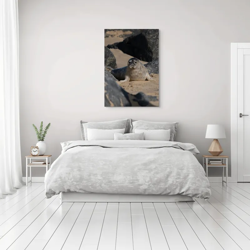 Tablou Canvas, "Foca odihnindu-se pe plajă liniștită", I don't know who this is., 70 x 100 cm – poza 3