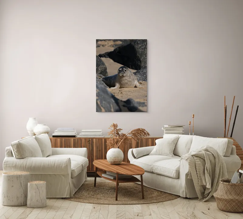 Tablou Canvas, "Foca odihnindu-se pe plajă liniștită", I don't know who this is., 70 x 100 cm – poza 4